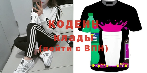 индика Надым
