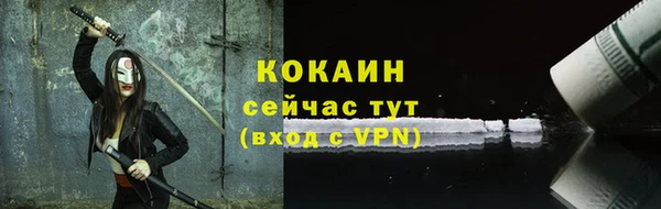 индика Надым
