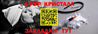 ешки Гай