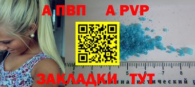 ешки Гай