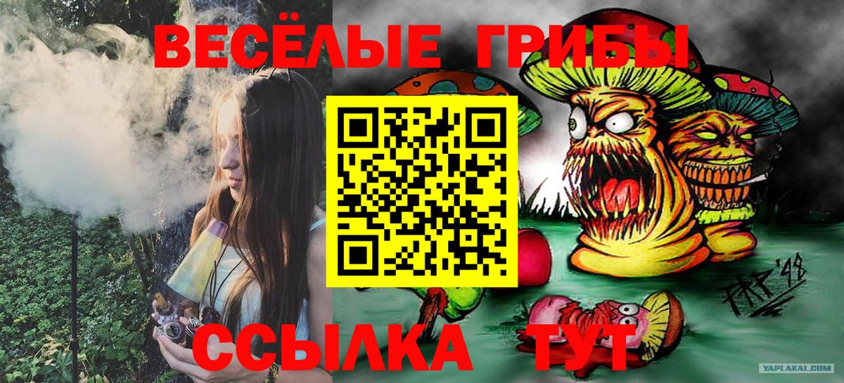 Псилоцибиновые грибы Psilocybe Лениногорск