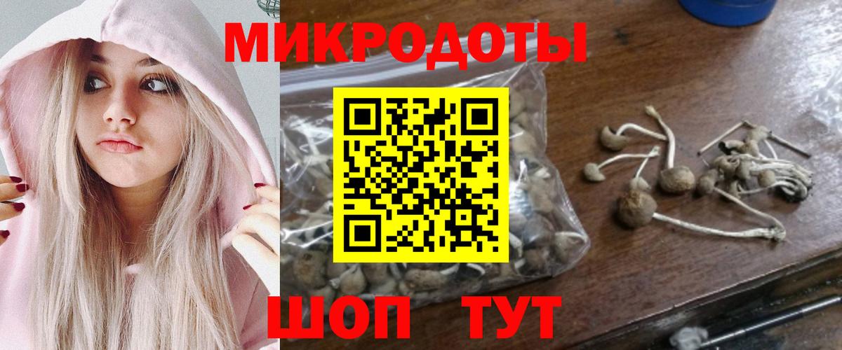 Лениногорск  Псилоцибиновые грибы ЛСД  Вход с VPN 
